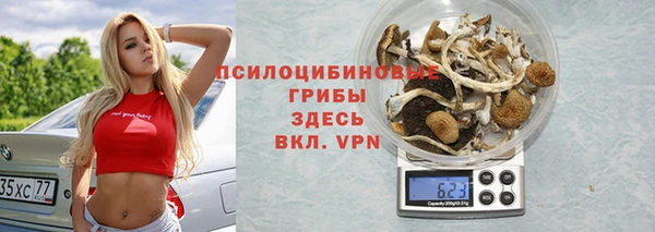 шишки Абинск
