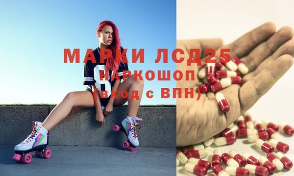 шишки Абинск