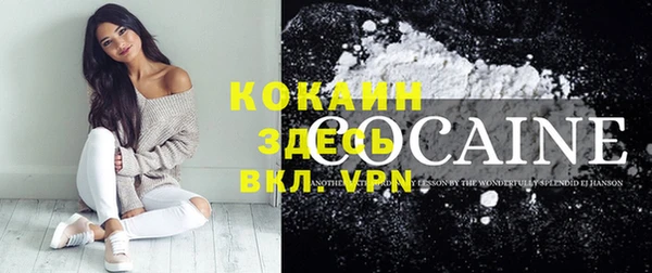 шишки Абинск