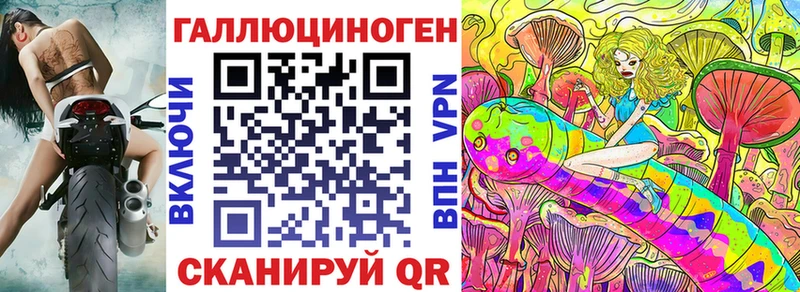 кракен   Новопавловск  Галлюциногенные грибы Psilocybine cubensis 