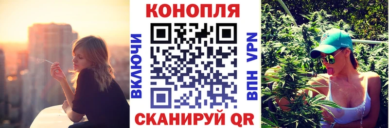Конопля сатива Новопавловск